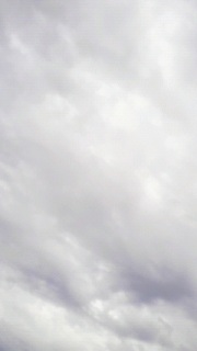 ������������^�̎��[��