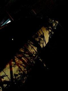 (untitled)