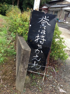 (untitled)