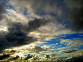 (untitled)